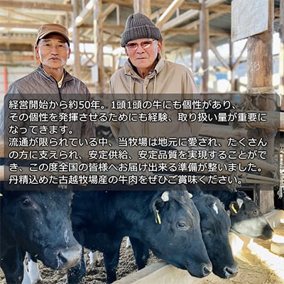 【牛肉肩ロースすき焼きしゃぶしゃぶ用】信州蓼科牛の厳選部位(300g×2パック)御代田町古越牧場産