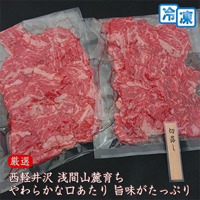 【毎月定期便】【牛肉切落し】信州蓼科牛の厳選部位600g(300g×2) 御代田町古越牧場産全12回
