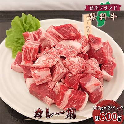 【毎月定期便】【牛肉カレー用】信州蓼科牛の厳選部位 おまかせ 600g(300g×2パック)全6回