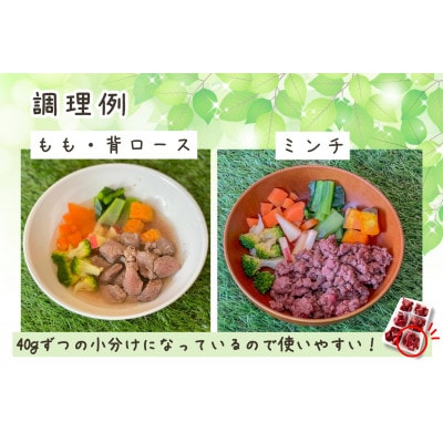 軽井沢鹿工房　愛犬用　生肉セット【ミンチ240g×2袋、もも240g×2袋、背ロース240g×2袋】
