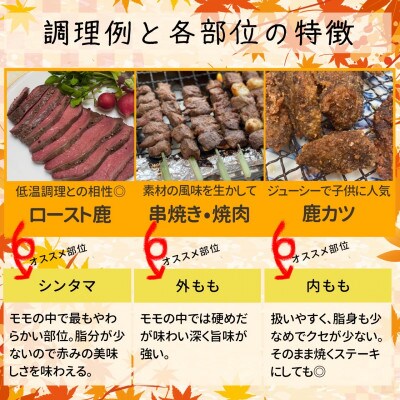 長野県産鹿肉ジビエ　鹿肉ももセット【シンタマ600g、内もも500g、外もも500g】