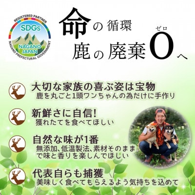 軽井沢鹿工房「愛犬用鹿ドライトライプ」20g×4パック