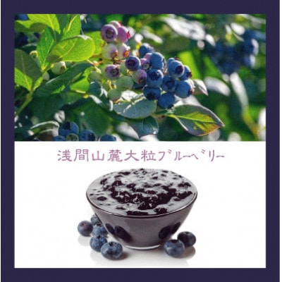 信州のバスクチーズケーキ【浅間山麓大粒ブルーベリー】