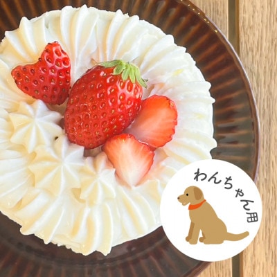 愛犬用 完熟いちごネイキッドケーキ Mサイズ 1個