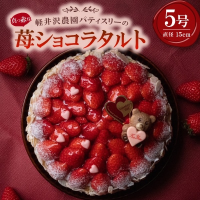 真っ赤な苺ショコラタルト5号サイズ