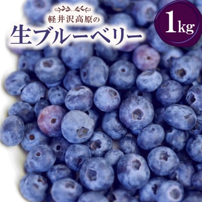 【2026年出荷分 先行予約】軽井沢高原の生ブルーベリー【1kg】