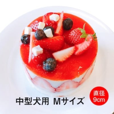 わんちゃん用フレジエケーキ【Mサイズ】