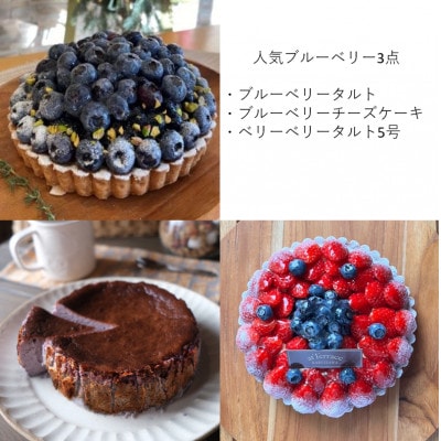 【毎月定期便】軽井沢の農園パティスリー 人気ブルーベリータルト・チーズケーキの3点セット全3回