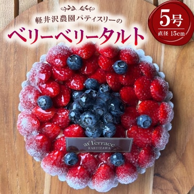 【毎月定期便】軽井沢の農園パティスリー 人気ブルーベリータルト・チーズケーキの3点セット全3回