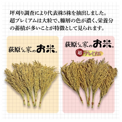 令和7年産　荻原くん家のお米 超プレミアム(白米)　5kg　