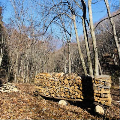 林業芸術社　2年乾燥薪(広葉樹約45cm /約10kg分/中割り～)御代田町面替