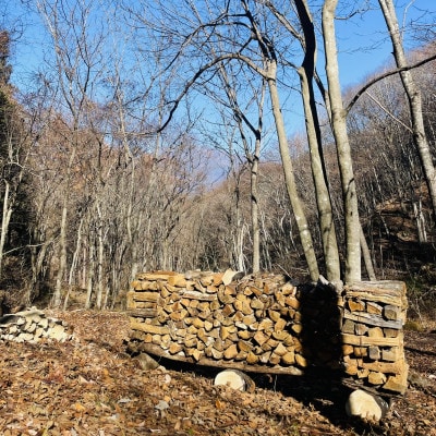 林業芸術社　2年乾燥薪(広葉樹約22cm /約5kg分/中割り～)御代田町面替