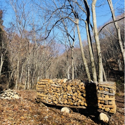 林業芸術社　2年乾燥薪(広葉樹約22cm /約10Kg分/中割り～)御代田町面替