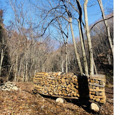 林業芸術社 乾燥薪(広葉樹約22cm /約50kg分/中割り～)【複数個口で配送】