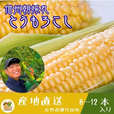 長野県浅間山麓　朝採れとうもろこし　約4kg～5kg(約8本～12本入り)