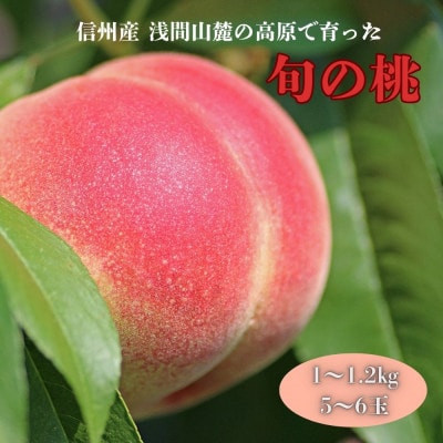 長野県浅間山麓　御代田町の桃　家族で楽しむ食べ切りハーフ箱(1～1.2kg)