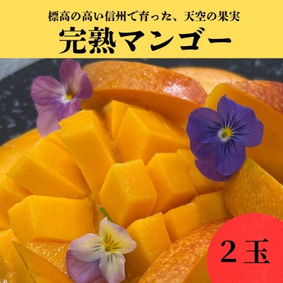 長野県浅間山麓　天空の果実　高原マンゴー(2玉)