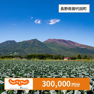 【じゃらんふるさと納税クーポン】 長野県御代田町でつかえる300,000円 クーポン