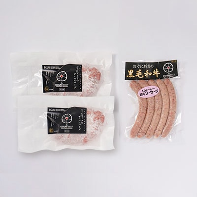 【地元ブランド】黒毛和牛ハンバーグ2個&黒毛和牛ソーセージ30g×5本セット　高オレイン酸牛