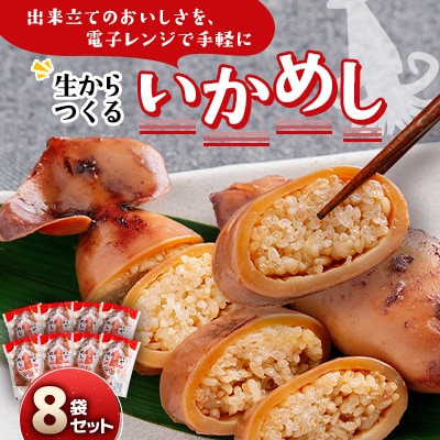 いかめし8袋セット