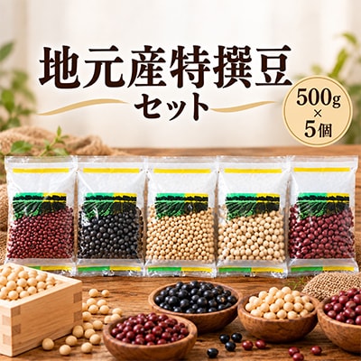 地元産特撰豆セット 500g×5個