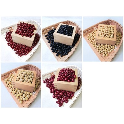地元産特撰豆セット 500g×5個