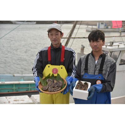 北斗市産　活天然アワビ　6～10個入