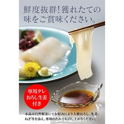 【道水 DOHSUI】いかそうめん5人前(刺身用イカソーメン)北海道 産地直送