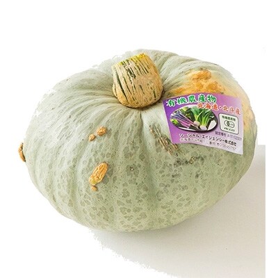 【JAS認定有機野菜】旬の南瓜5～8個セット