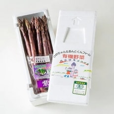 有機箱館北斗紫アスパラ姫 1kg 5L以上