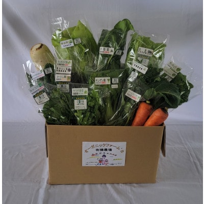 【JAS認定有機野菜】北斗市産　有機野菜10～12種類野菜セット 紙箱入(季節で種類が変わります)