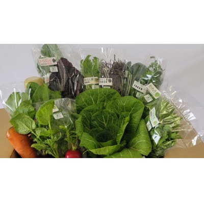 【JAS認定有機野菜】北斗市産　有機野菜10～12種類野菜セット 紙箱入(季節で種類が変わります)
