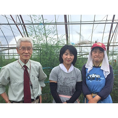 【JAS認定有機野菜】北斗市産 ニンニクと野菜5~7種類野菜セット 紙箱入(季節で種類が変更)