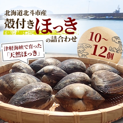 北斗市産　殻付きほっきの詰合わせ