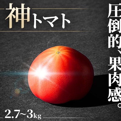 【フルーツのような果肉感】神トマト2.7～3kg