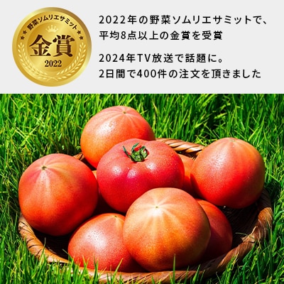 【フルーツのような果肉感】神トマト2.7～3kg