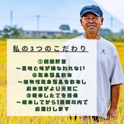 特別栽培米 北海道北斗市産ふっくりんこ5kg