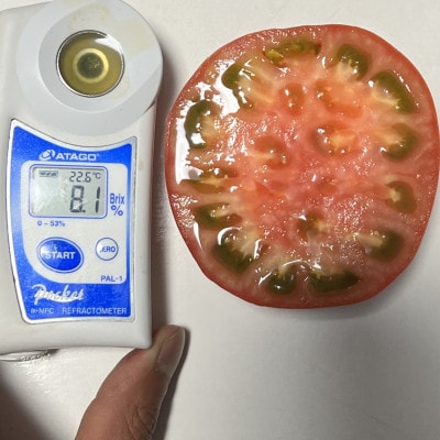 完熟　神トマトが好きな人のための　トマトジュース　700ml