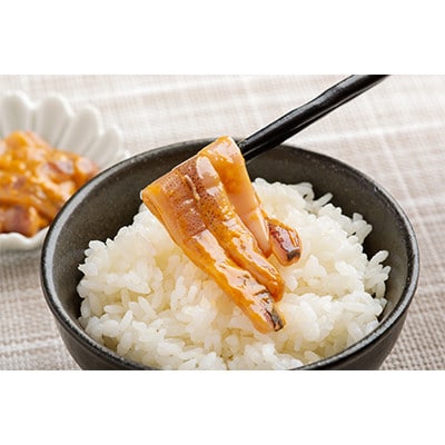 【毎月定期便】【函館産スルメイカ】太切いか塩辛 150g全6回