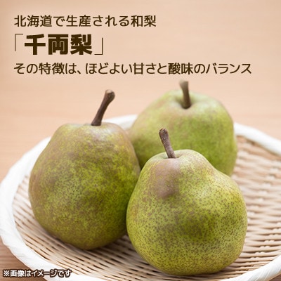 【地元酒屋×地元農業高校】北斗市産「千両なし」リキュール 500ml
