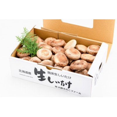 北海道の自然で育った肉厚しいたけ 1kg