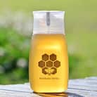 MINOKAMO HONEY はちみつ ( 300g )
