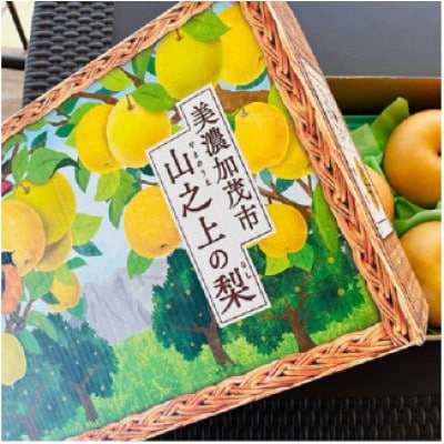 岐阜県美濃加茂市 :山之上 梨  <長寿> 　1箱　 約2.5kg (5～8玉)