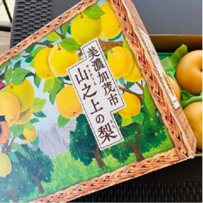 岐阜県美濃加茂市 :山之上 梨  <新高> 　1箱　 約3.5kg