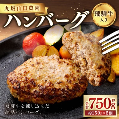 【飛騨牛入り】 手作り ハンバーグ 5個 セット (150g×5個)