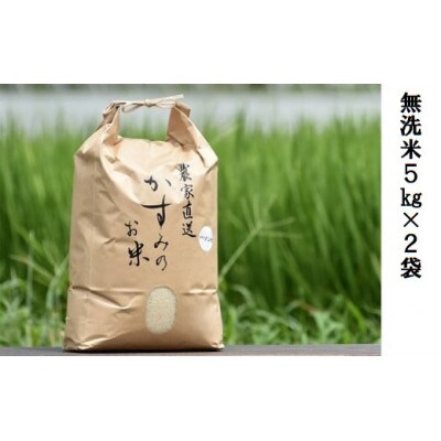 令和6年産 美濃加茂産のお米「ハツシモ 」無洗米 10kg (5kg×2袋)