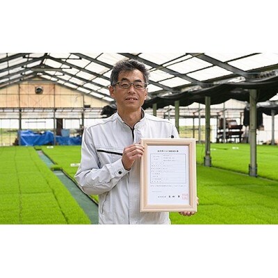 【毎月定期便】岐阜県 美濃加茂産のお米 「ハツシモ」 5kg　全6回