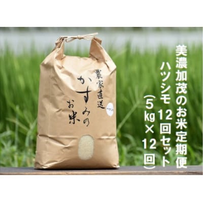 【毎月定期便】岐阜県 美濃加茂産のお米 「ハツシモ」 5kg　全12回