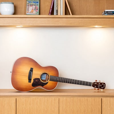 VD-110 NL - VINCENT - guitar & others -