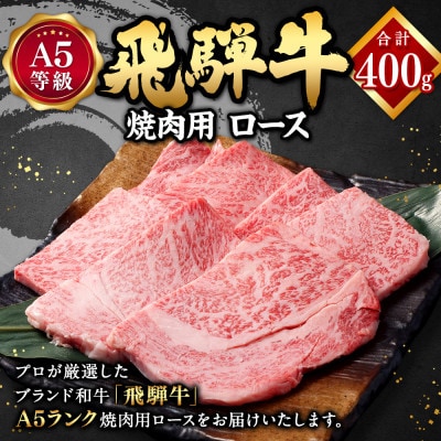 飛騨牛A5等級 焼肉用 400g (ロース)